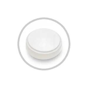 Round Bulkhead Ceiling Light